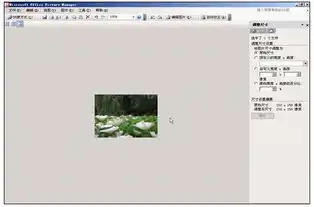  护士资格报名照片过大无法上传问题的解决方案