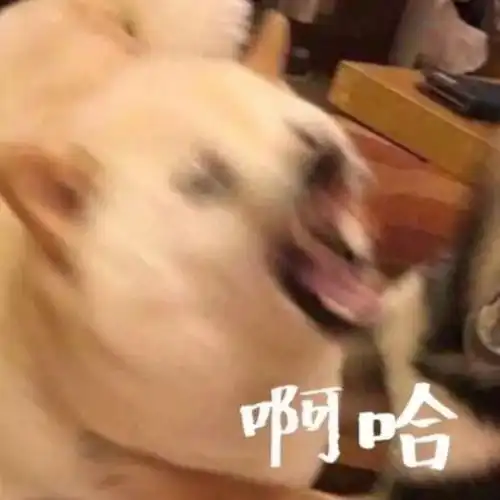  情侣头像新一期头像等待你们的宠幸