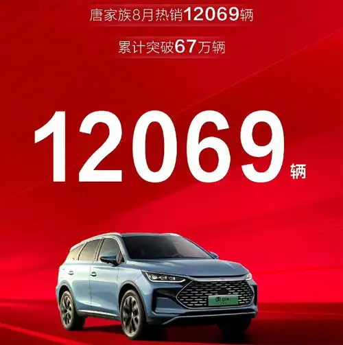  2025款比亚迪唐水泥灰黑化元素,dm5.0,和唐l一起卖