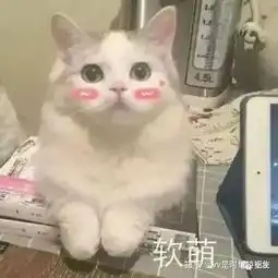  长期化妆和不化妆有什么区别看下明星的妆前妆后