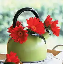  精致花草小雏菊点亮生活