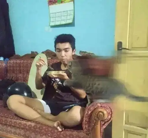  女票说和闺蜜一起睡在宾馆,结果...网友暗示我被绿成大草原哈哈哈哈...