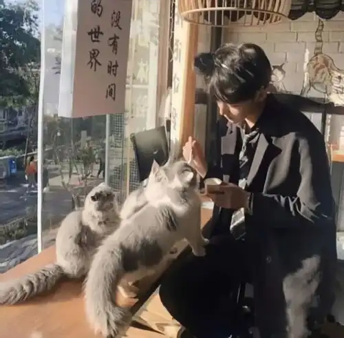  情头这是你想要的情侣头像吗