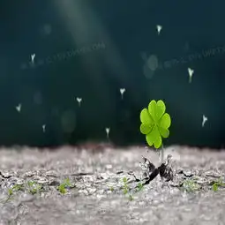  唯美四叶草背景背景图片素材免费下载jpg格式800800像素熊猫办公