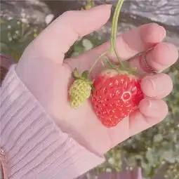  2019少女心图片简单好看大全后来的你我只靠听说