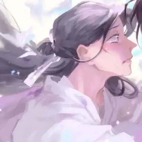 头像图片 动漫天官赐福