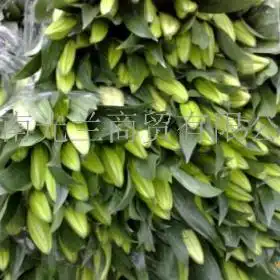  茶叶价格排行榜