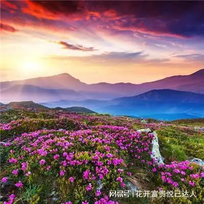 微信头像图片风景前途无