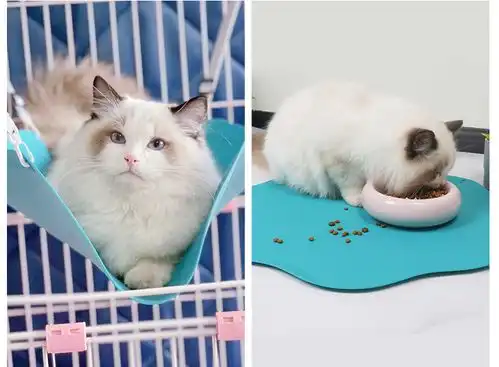  不粘灰不粘毛的猫吊床,你见过吗
